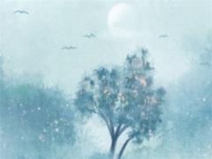 八字神煞由什么組成 八字的神煞代表什么