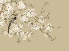 八字算出房子應(yīng)住哪個朝向 八字怎么看房子的位置