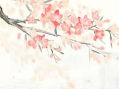 八月16是什么日子 八月16號是什么日子