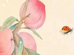 季姓男孩取名寓意 溫文爾雅的男寶寶名字