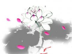 算命說婚姻坎坷什么意思 婚姻坎坷啥意思