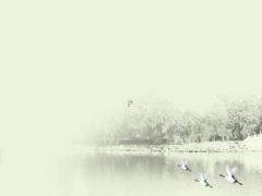 1999男屬兔的最佳配偶屬相 男屬兔1999年最佳配偶