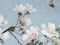 屬龍的人找對(duì)象找屬什么的,屬龍找對(duì)象找什么屬相最好