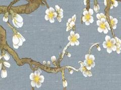 牛的三合生肖是什么意思 牛的三合是什么生肖相害