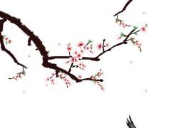 嬰兒的生辰八字說法 嬰兒生辰八字算命