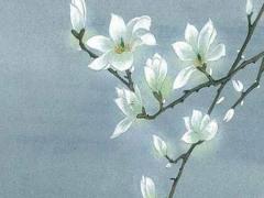 上海中元節祭祀是哪天燒紙 上海中元節掃墓的多嗎