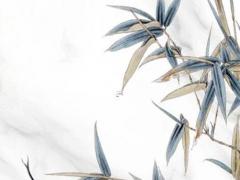 2003718是農歷什么日子 2003818的農歷是多少