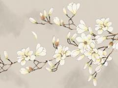 算命說我明年走官運 算命先生說我明年開始走運氣