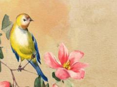 2023生肖兔本命年運勢,2023生肖兔本命年運勢及運程