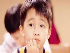 夢(mèng)見小兔子小貓 夢(mèng)見貓咪幼崽兔子幼崽