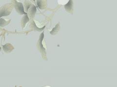 屬馬的女人婚姻好不好呢 屬馬女人的婚姻與命運