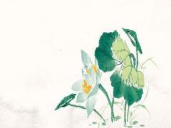 姓楊的好聽女孩名字