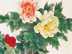 倒八字眉有什么說(shuō)法 倒八字眉的性格