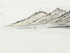 最近魚缸里的魚總死 為什么最近魚缸里的魚死的頻繁