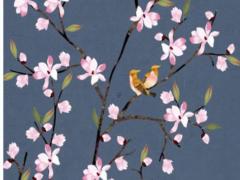 經典福克斯后輪外八字是什么原因 福克斯后輪外傾角怎么調整