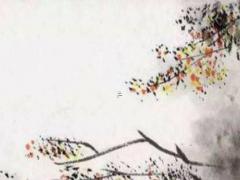 屬兔和屬龍的結婚好嗎,屬兔和屬龍結婚了之后財運好不好