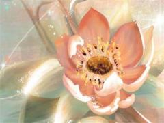 男屬鼠和女屬龍婚配適合嗎,男屬鼠和女屬龍的合不合