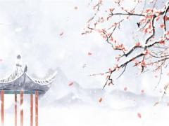 屬蛇擺放什么綠植 屬蛇人擺什么綠植