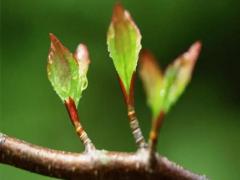 夢見討了個老婆 夢見找自己老婆