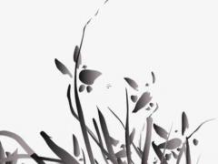 生辰八字中浮沉是什么意思 浮沉煞詳解