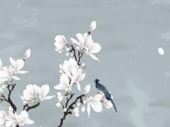 1995屬豬女婚配表 1995屬豬婚配表大全集