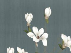 屬虎農(nóng)歷6月運(yùn)勢如何 屬虎的農(nóng)歷六月運(yùn)勢