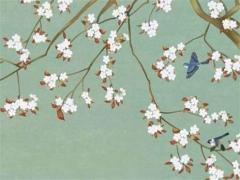 1995年八字屬什么 1995年頒布的教育法