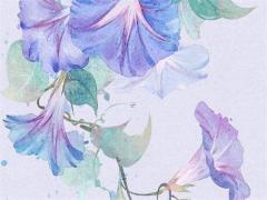 什么八字女命不利兒子 不利子女的八字