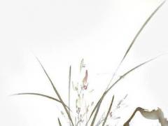 合婚八字測算最準 八字合婚算命免費測八字