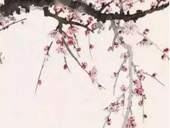 眼眉到八字長的是什么性格 八字眼眉好嗎