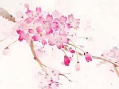 農(nóng)歷四月可以結(jié)婚嗎 農(nóng)歷四月可以結(jié)婚嗎女