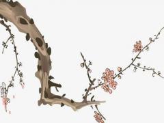 個性又好聽的女孩名字