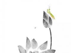 免費個人星盤解析 怎么解讀自己的星盤