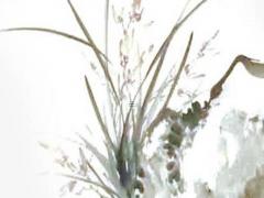 農歷陰歷陽歷公歷 農歷陰歷陽歷公歷是什么意思