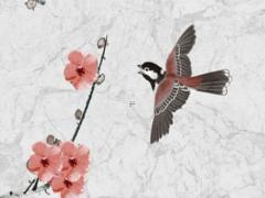 屬豬的婚姻對象是,屬豬的婚姻好嗎