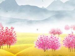 劉德華投資失敗八字 劉德華的投資項目包括哪些