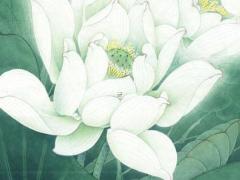 自己注冊公司取什么名旺財 用什么字寓意好