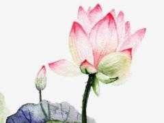 手相算命哪些人容易富貴 有這4種手相的人命中注定會大富大貴