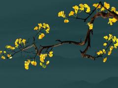 屬狗男的性格和脾氣怎么樣 屬狗男的性格優點和缺點