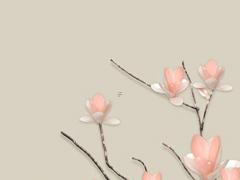 屬虎的今年多大最好,屬虎今年多大呀