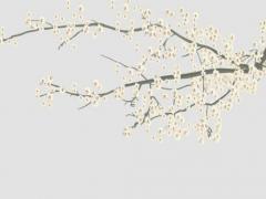 八字和天乙是什么意思 八字中的天乙什么意思