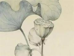 屬兔跟屬馬的可以婚配嗎 屬馬與屬兔婚配好不好