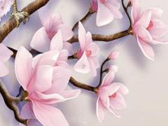 2023年本命年的生肖有哪些,2023年本命年生孩子好嗎