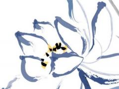屬虎的婚配表屬豬的婚配表,屬虎的和豬配對(duì)指數(shù)