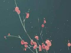 一秒測男女試紙怎么用的 測男女測試紙