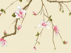 1971年出生的屬豬的人 1971屬豬的是什么命