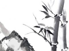 在線星盤查詢免費星盤分析 紫薇星盤詳細解析免費