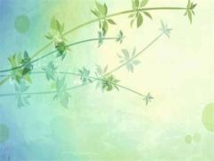 農(nóng)歷5月2日是什么星座 農(nóng)歷5月28日是什么星座