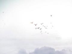 7月21陰歷是多少號 7月21是農(nóng)歷多少號