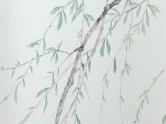 屬龍女配什么屬相最好,龍女配什么生肖最好婚姻